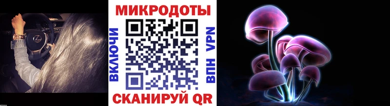даркнет наркотические препараты  наркотики  Ельня  Псилоцибиновые грибы мицелий 